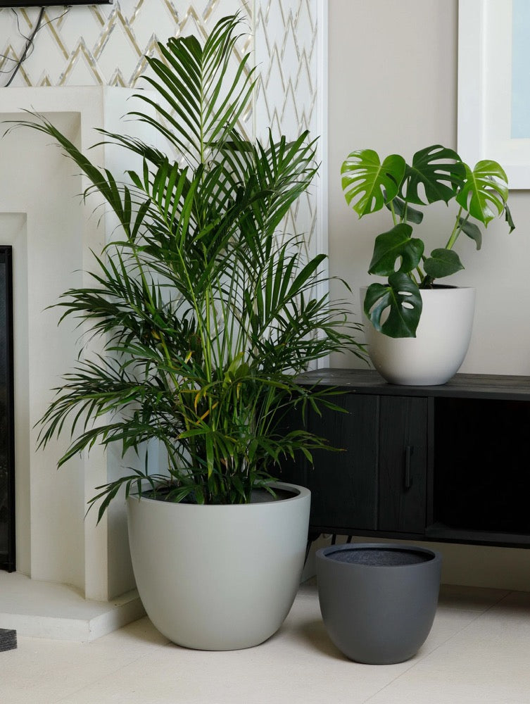 Indoor/Outdoor Large Nordic Minimalist Fiberstone Lightweight Round Planter Pot - 17, 14, 11 inch Matte Finish - Suitable for Ficus Alii