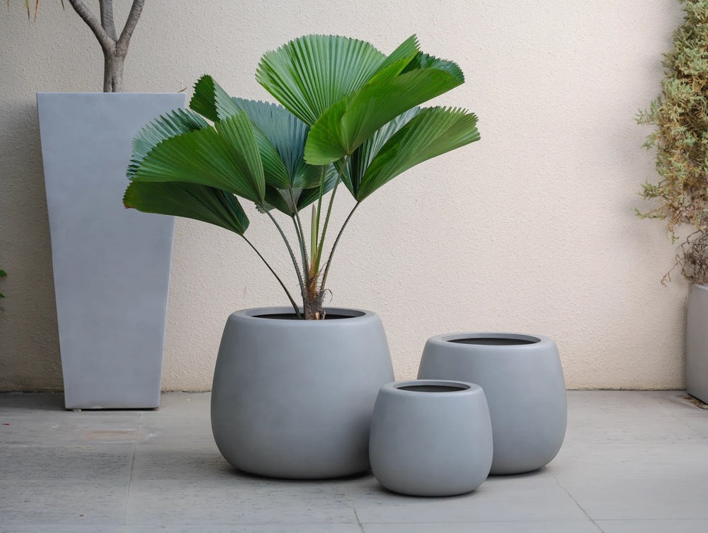 Indoor/Outdoor Large Nordic Minimalist Fiberstone Lightweight Round Planter Pot - 16,14,9 inch Matte Finish - Suitable for Ficus Fiddle Fig
