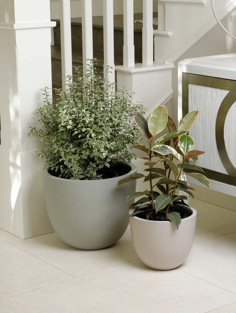 Indoor/Outdoor Large Nordic Minimalist Fiberstone Lightweight Round Planter Pot - 17, 14, 11 inch Matte Finish - Suitable for Ficus Alii