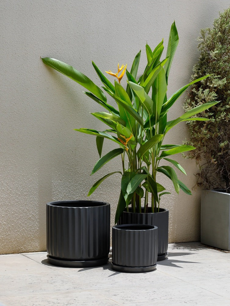 Indoor/Outdoor Large Nordic Minimalist Fiberstone Lightweight Round Planter Pot w/ Saucer - 16, 13, 11 inch Matte Finish - Suitable for Palm