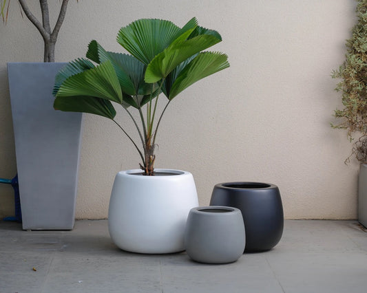 Indoor/Outdoor Large Nordic Minimalist Fiberstone Lightweight Round Planter Pot - 16,14,9 inch Matte Finish - Suitable for Ficus Fiddle Fig