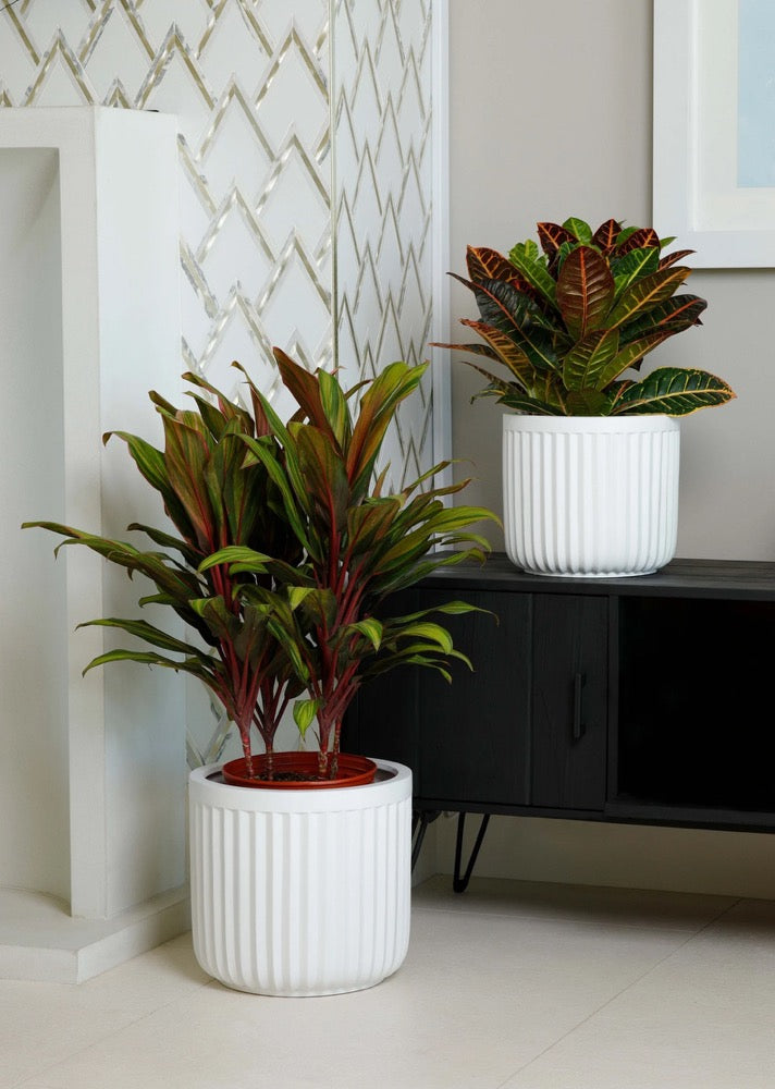 Indoor/Outdoor Large Nordic Minimalist Fiberstone Lightweight Round Planter Pot - 16, 13, 11 inch Matte Finish - Suitable for Monstera