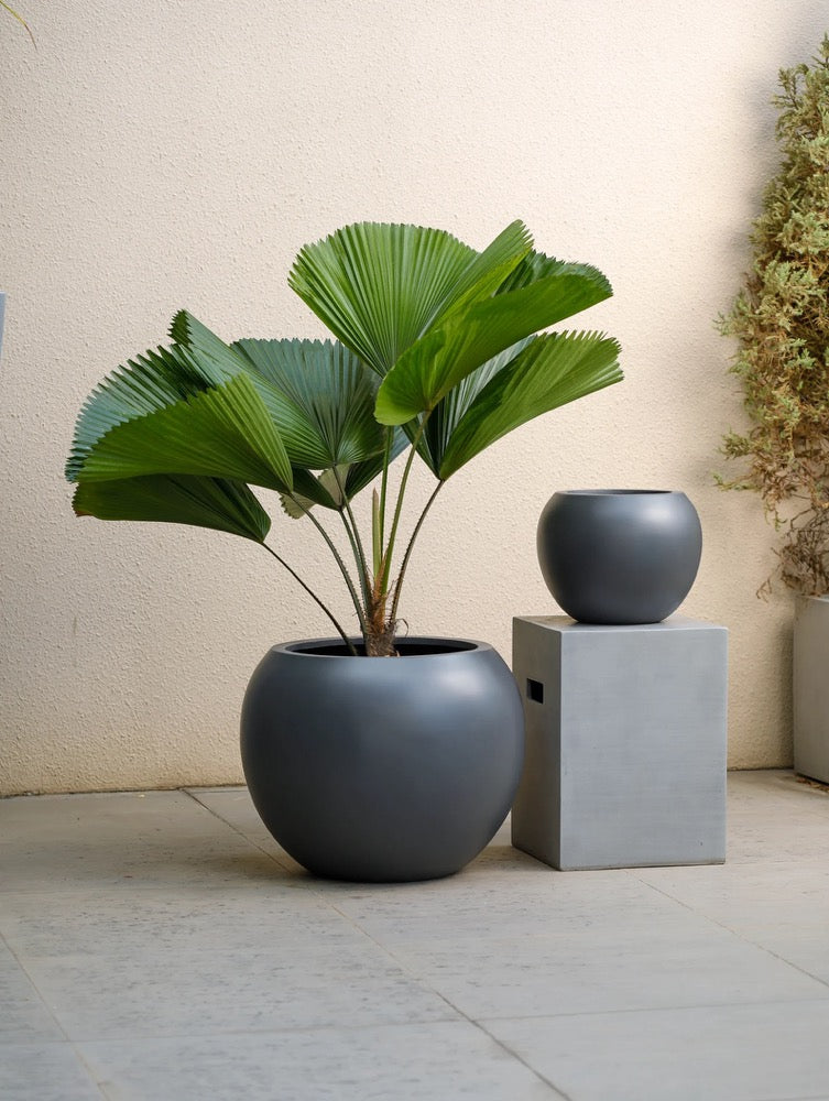 Indoor/Outdoor Large Nordic Minimalist Fiberstone Lightweight Round Curve Balloon Ball Tapered Decor Planter Pot - 16, 10 in Matte Finish
