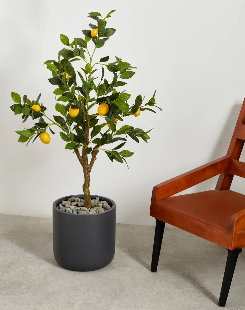 Indoor/Outdoor Large Nordic Minimalist Fiberstone Lightweight Round Cylinder Planter Pot - 12, 9 inch Matte Finish - Ficus Fiddle Fig
