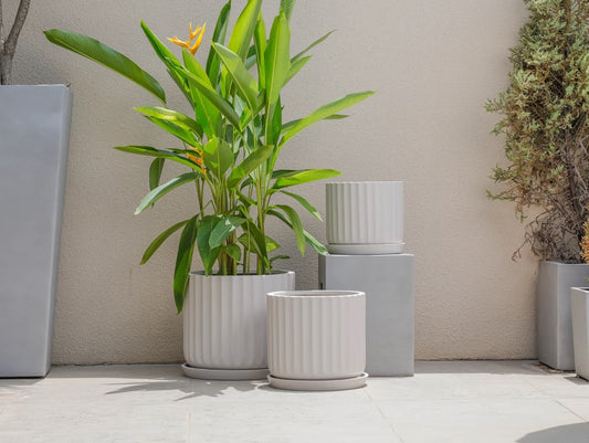 Indoor/Outdoor Large Nordic Minimalist Fiberstone Lightweight Round Planter Pot w/ Saucer - 16, 13, 11 inch Matte Finish - Suitable for Palm